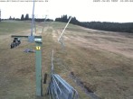 Archived image Webcam Wasenlift - Muggenbrunn Ski Resort 11:00
