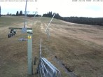 Archived image Webcam Wasenlift - Muggenbrunn Ski Resort 13:00