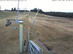 Archived image Webcam Wasenlift - Muggenbrunn Ski Resort 11:00
