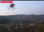 Archiv Foto Webcam Blick über Rokytnice 14:00