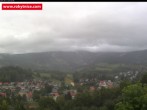 Archived image Webcam Rokytnice, Valley Huťský potok 08:00