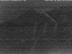 Archived image Webcam Tegelberg: View Falkenlift 03:00