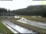 Archiv Foto Webcam Pokljuka: Blick ins Biathlonstadion 13:00