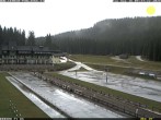 Archiv Foto Webcam Pokljuka: Blick ins Biathlonstadion 08:00