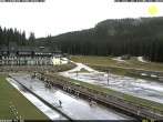 Archiv Foto Webcam Pokljuka: Blick ins Biathlonstadion 15:00