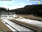 Archiv Foto Webcam Pokljuka: Blick ins Biathlonstadion 11:00