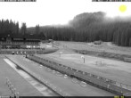 Archiv Foto Webcam Pokljuka: Blick ins Biathlonstadion 05:00