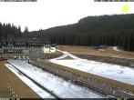 Archiv Foto Webcam Pokljuka: Blick ins Biathlonstadion 08:00
