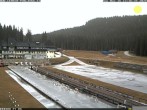 Archiv Foto Webcam Pokljuka: Blick ins Biathlonstadion 12:00