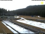 Archiv Foto Webcam Pokljuka: Blick ins Biathlonstadion 14:00