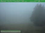 Archived image Webcam Ski piste at Knüllfeld 05:00