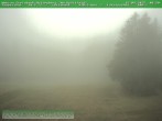 Archived image Webcam Ski piste at Knüllfeld 08:00