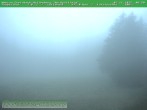 Archiv Foto Webcam Am Knüllfeld 06:00
