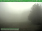 Archiv Foto Webcam Am Knüllfeld 07:00