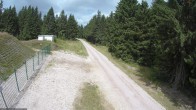 Archiv Foto Webcam Loipe am Rennsteig (Stein 16) 11:00