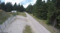Archiv Foto Webcam Loipe am Rennsteig (Stein 16) 13:00