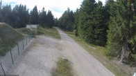 Archiv Foto Webcam Loipe am Rennsteig (Stein 16) 17:00