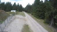 Archived image Webcam Cross-country ski run Rennsteig 11:00