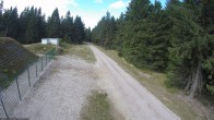Archived image Webcam Cross-country ski run Rennsteig 12:00