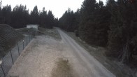 Archived image Webcam Cross-country ski run Rennsteig 19:00