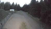Archiv Foto Webcam Loipe am Rennsteig (Stein 16) 05:00