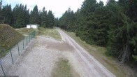 Archiv Foto Webcam Loipe am Rennsteig (Stein 16) 11:00