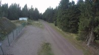 Archiv Foto Webcam Loipe am Rennsteig (Stein 16) 17:00