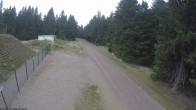 Archiv Foto Webcam Loipe am Rennsteig (Stein 16) 08:00
