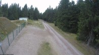 Archiv Foto Webcam Loipe am Rennsteig (Stein 16) 11:00