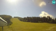 Archived image Webcam Cojzerica 11:00