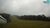 Archived image Webcam Cojzerica 10:00