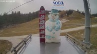Archiv Foto Webcam Neuschnee Vogel Ski Center 13:00