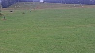 Archiv Foto Webcam Stuhleck: Schieferwiese 07:00