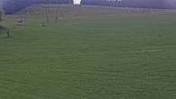 Archiv Foto Webcam Stuhleck: Schieferwiese 11:00