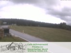 Archiv Foto Webcam Langlaufzentrum Finsterau: Blick auf die Loipen 09:00