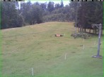 Archiv Foto Webcam Tellerlift Sebnitz 11:00