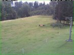 Archiv Foto Webcam Tellerlift Sebnitz 13:00
