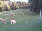 Archiv Foto Webcam Tellerlift Sebnitz 17:00