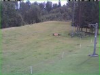 Archiv Foto Webcam Tellerlift Sebnitz 13:00