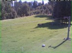 Archiv Foto Webcam Tellerlift Sebnitz 13:00