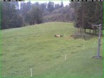 Archived image Webcam Sebnitz: Platter Lift 05:00