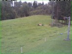 Archiv Foto Webcam Tellerlift Sebnitz 11:00