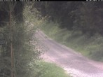 Archiv Foto Webcam Kammloipe Weitersglashütte 11:00
