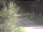 Archiv Foto Webcam Kammloipe Weitersglashütte 13:00