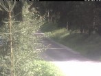 Archived image Webcam Cross-country ski track Weitersglashütte 15:00