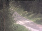 Archiv Foto Webcam Kammloipe Weitersglashütte 11:00
