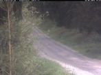Archiv Foto Webcam Kammloipe Weitersglashütte 13:00