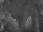 Archiv Foto Webcam Olbersdorfer See 21:00