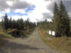 Archiv Foto Webcam Kammloipe Butterweg 10:00