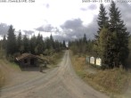 Archiv Foto Webcam Kammloipe Butterweg 11:00